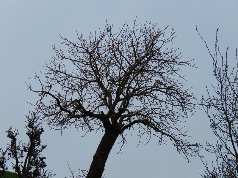 https://s29.picofile.com/file/8461543942/IMG_9564_Copy_.JPG