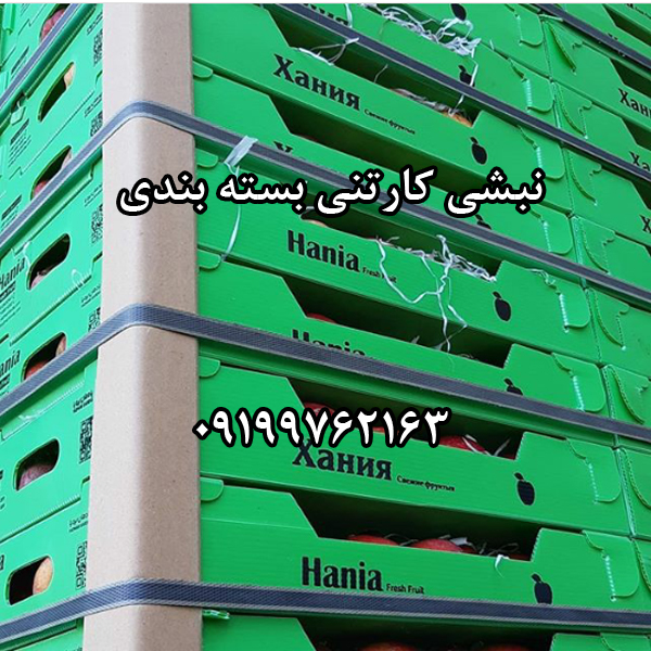 نبشی بسته بندی مقوایی و پلاستیکی