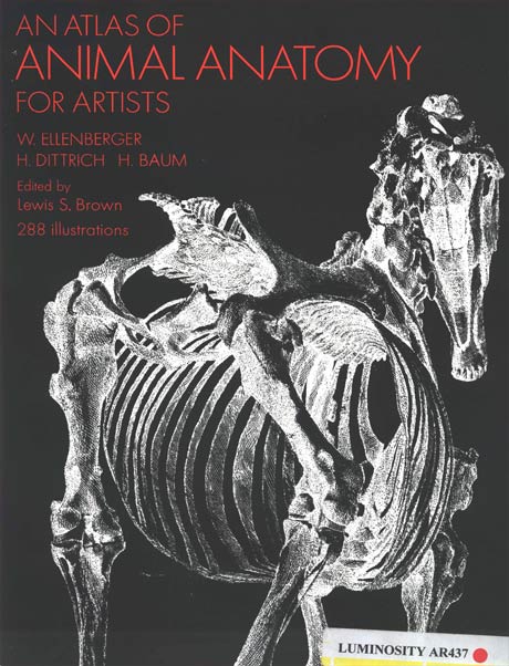 کتاب اطلس آناتومی حیوانات برای هنرمندان